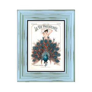 1920s France La Vie Parisienne Nudexart Peacock Framed chic peacock Distressed